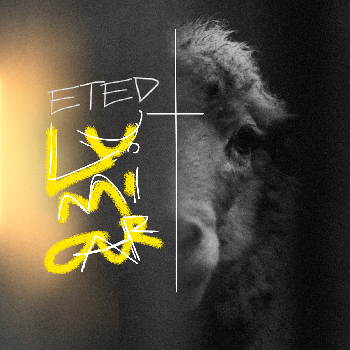ETED